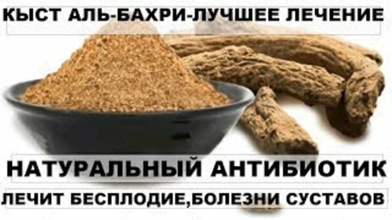 Кыст аль Хинди купить в Ташкенте — 2