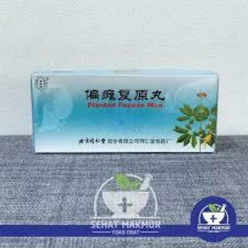 (Piantan Fuyuan Wan) для лечения инсульта, паралича, гемиплегии, неясной речи — 2