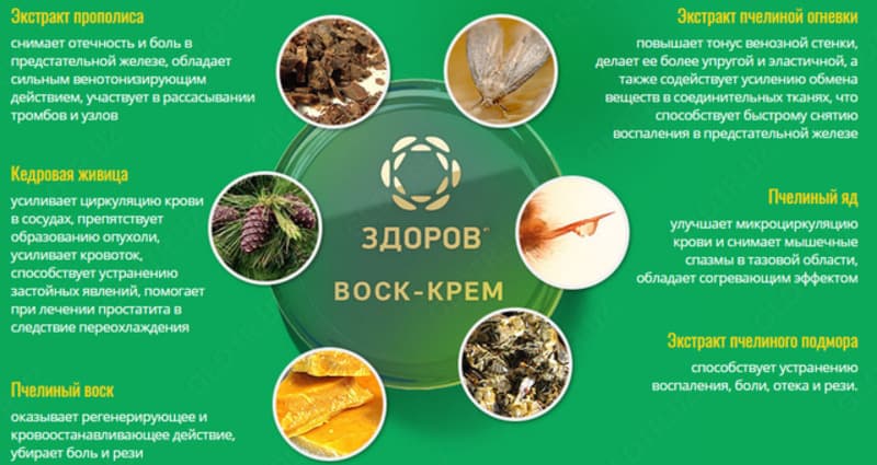 Крем-воск ЗДОРОВ пчелиный с прополисом купить в Ташкенте — 2