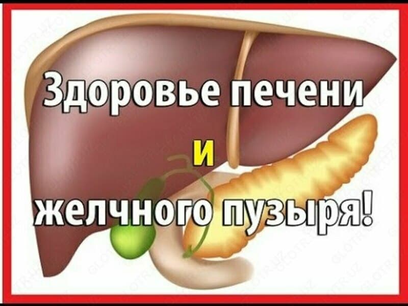 Сироп для защиты печени Lver Zime — 3