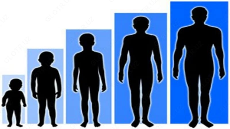 Стимулирующий препарат для роста Dr Height — 4