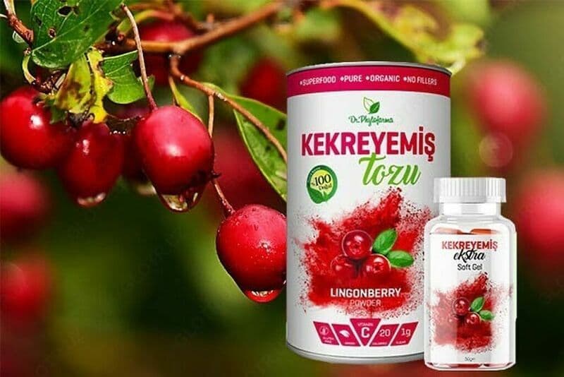 Брусничный порошок для похудения Kekreyemiş Tozu — 2