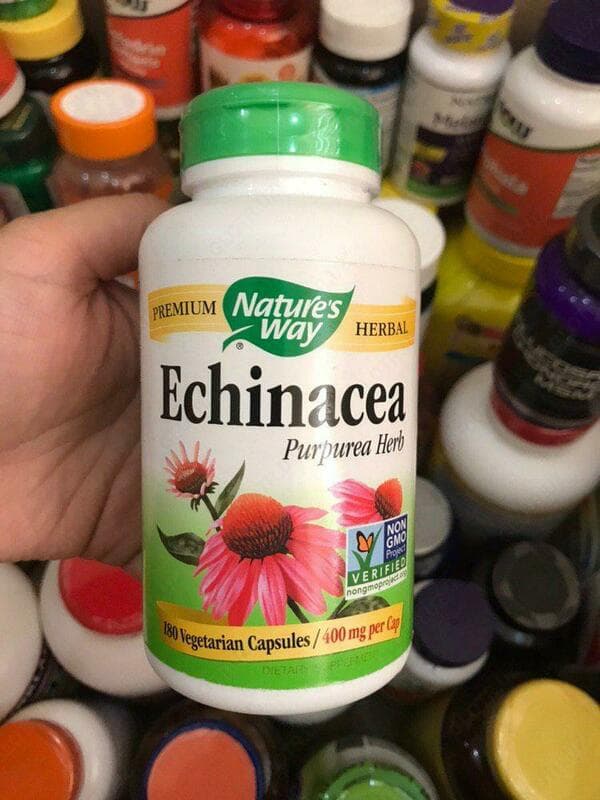 Витамины ”Nature's Way, Echinacea Purpurea Herb, 1,200 mg, 180 Vegan Capsules” — 2