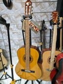 SAR Гитара Washburn C-40E