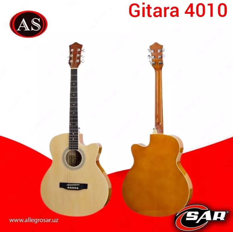 Гитара 4010 + чехол — 1