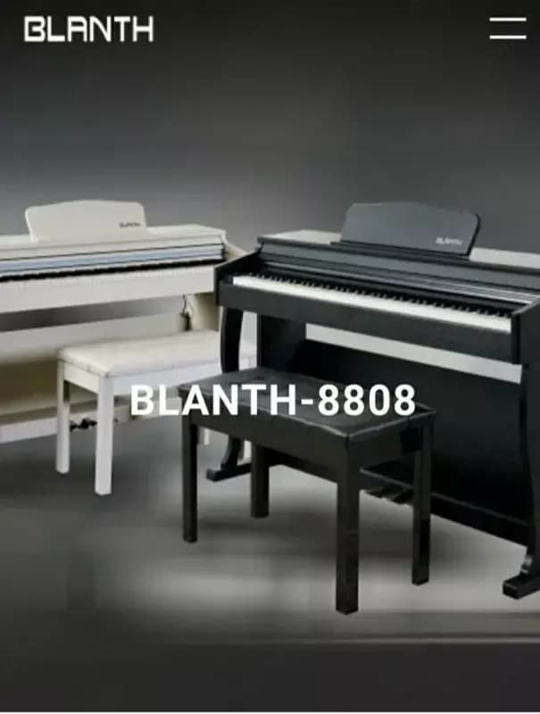 Цифровое Пианино. Электронное пианино. Фортепиано BLANTH-8808 (черный) — 3