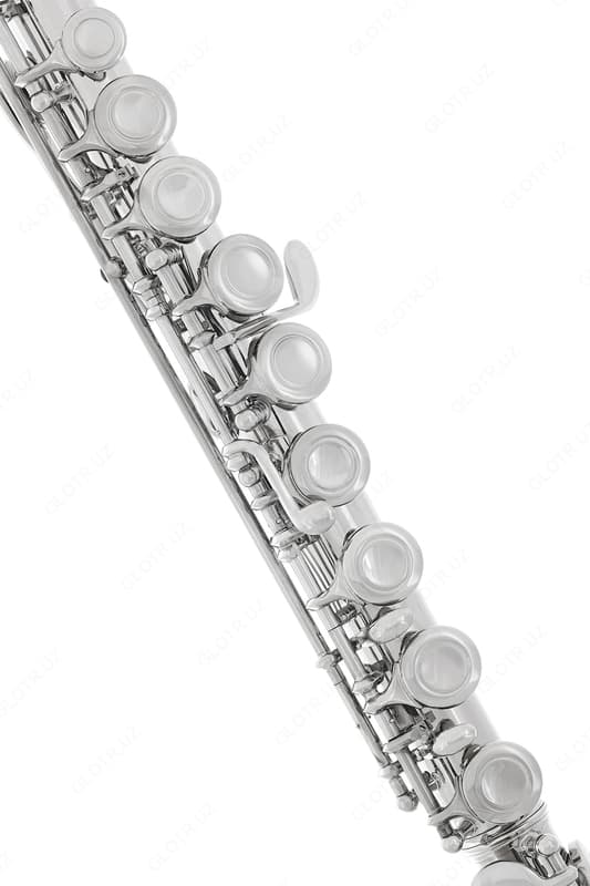 ФЛЕЙТА Lazarro Flute ( USA) — 3
