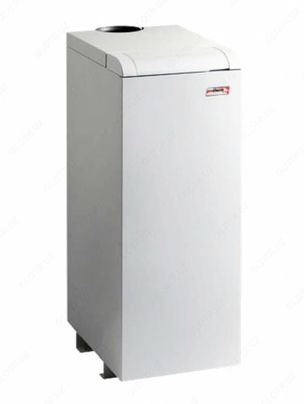 Protherm Напольный котел 50 KWT Медведь KLOM — 2