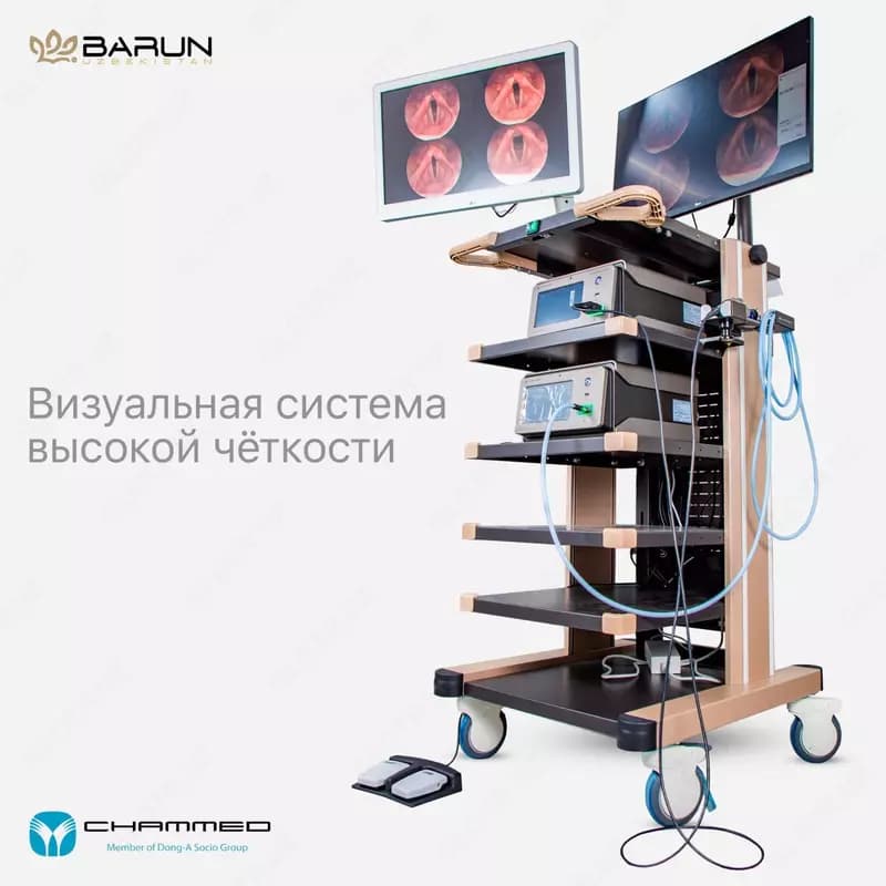 Эндоскопическая система FX-V1 — 1