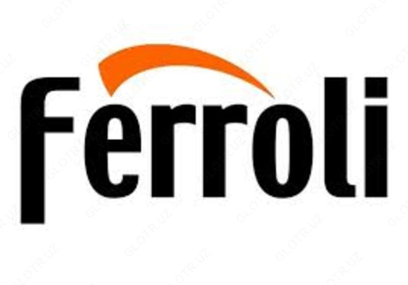 Газовые котлы Ferroli Pegasus 67 2s — 2