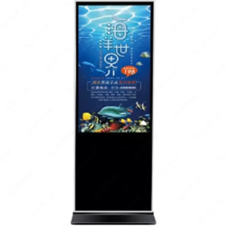 Интерактивный инфокиоск EV55W — 2
