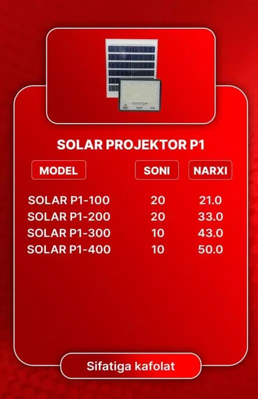 Светодиодный прожектор SOLAR P1-300 — 2