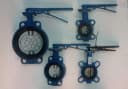 Затвор дисковый поворотный DN 150 PN16 (Россия)
