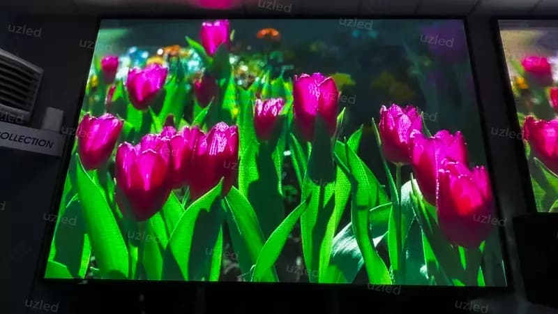 LED ЭКРАНЫ ДЛЯ БИЗНЕСА И РЕКЛАМЫ — 2