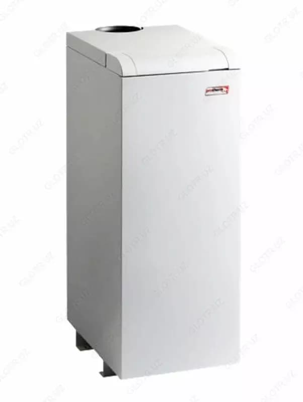 Protherm Напольный котел 30 KWT Медведь KLOM — 2