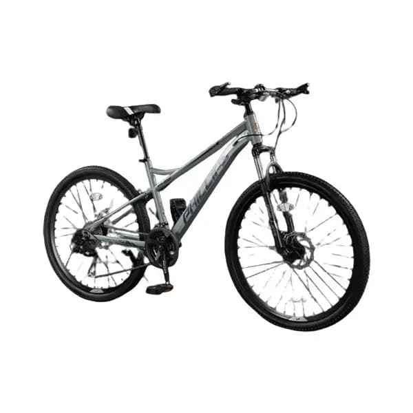 Velosiped Philips MTB 858 Kulrang 26 — 1