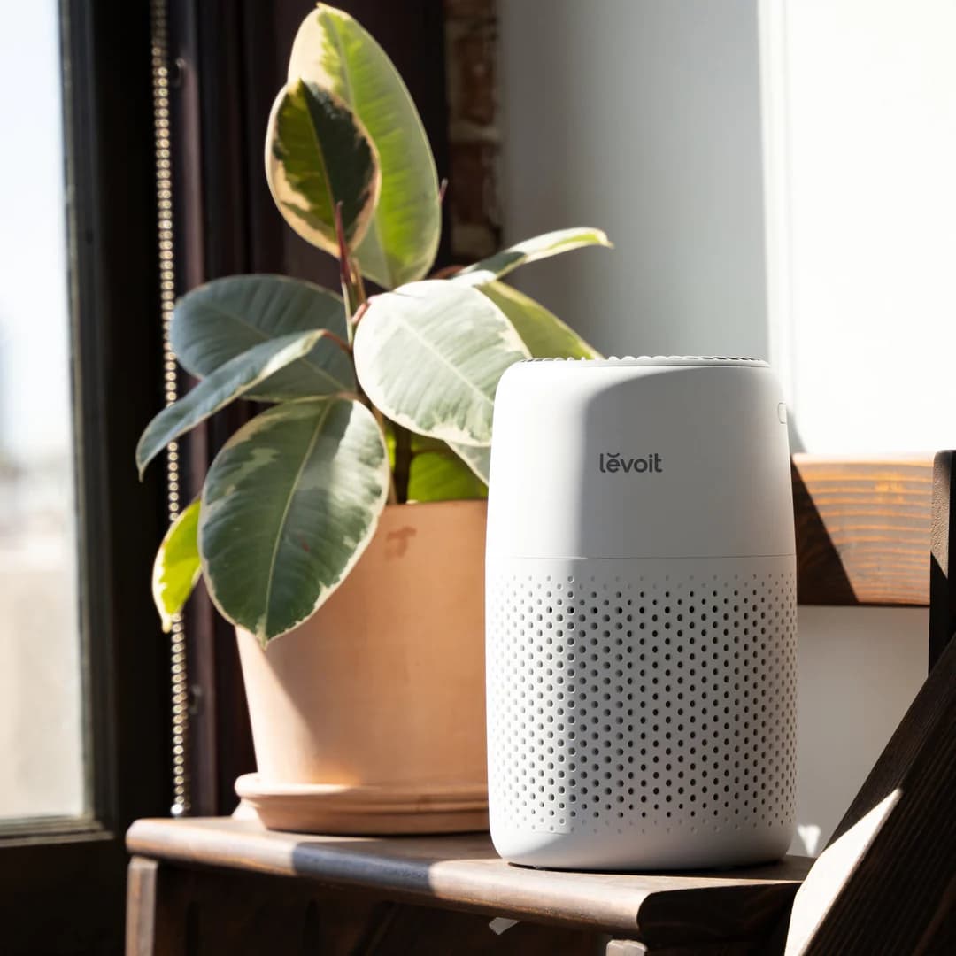 Havo tozalagich Levoit Core Mini 15m2 — 4