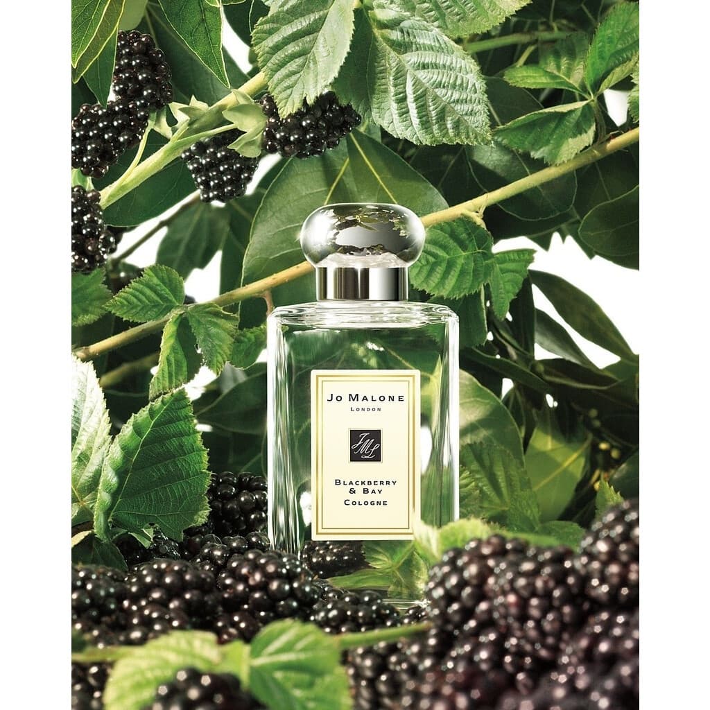 Blackberry & Bay Jo Malone London 100ml (Original) — 3
