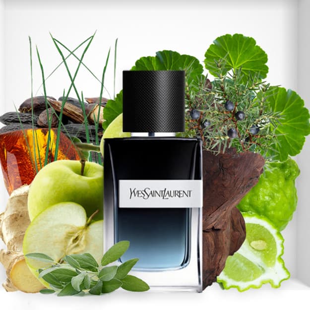 Y Eau de Parfum Yves Saint Laurent 100ml EDP (Original) — 3