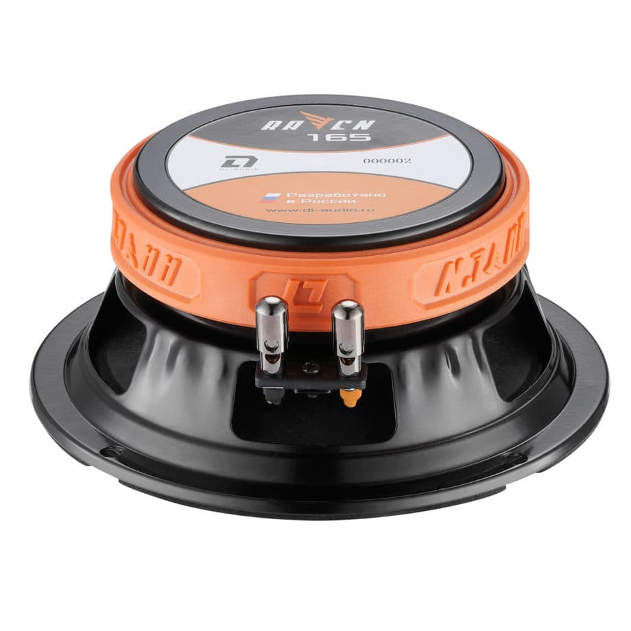 Akusticheskaya sistema DL Audio Raven 165 — 3