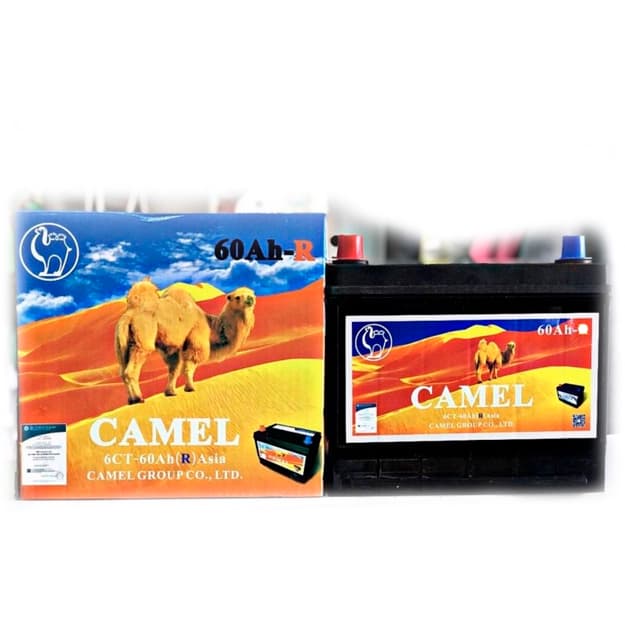 Avtomobil akkumulyatori Camel 60Ah-L — 1