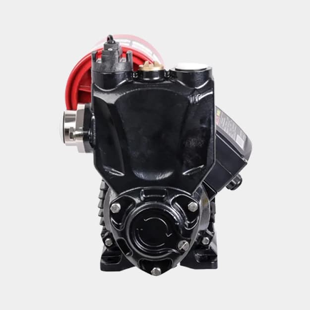 Avtomatik suv nasosi EPA EVN-A600-2 — 5