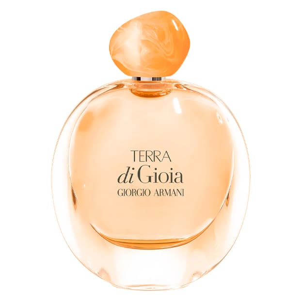 Giorgio Armani Terra di Gioia EDP 100ML — 2