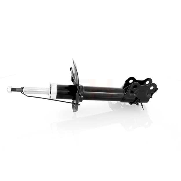 Amortizator peredniy leviy IPPON GAS EPICA E1036 — 1