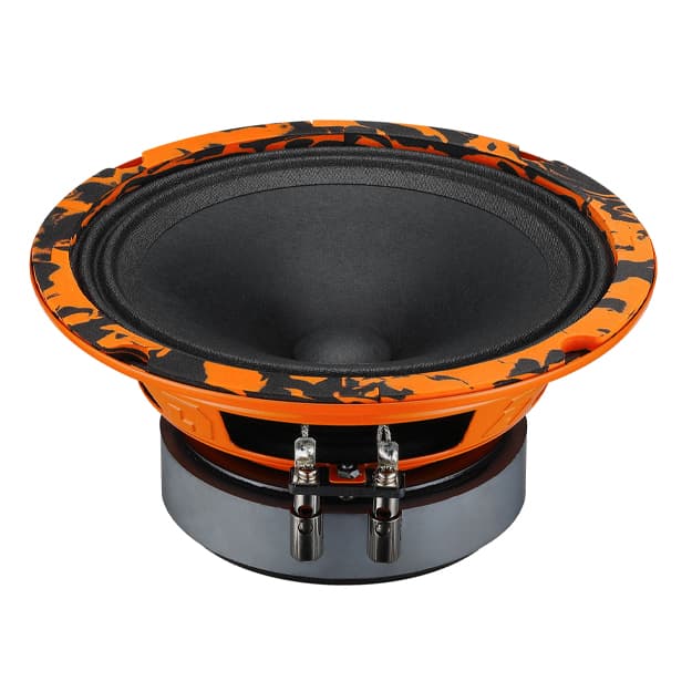 Avtomobil akustikasi DL Audio Gryphon Pro 165 — 1