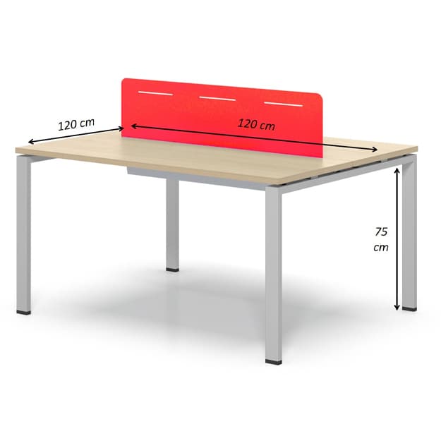 Ikki xodim uchun ofis ish stoli XNF-3060-03A — 2