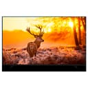 Televizor Artel A43MF3300 Smart tv 43" Qora