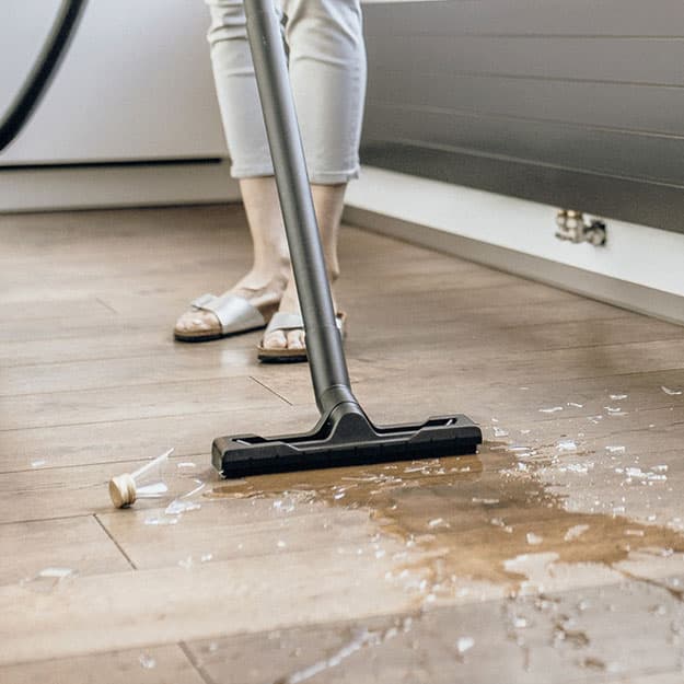 Maishiy changyutgich Karcher WD2 PLUS V-12/4/18/C — 3