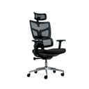 Ofis kreslosi ERGO Hudson HB Black