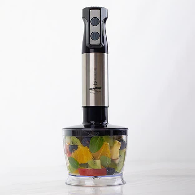 Qo‘lda ishlatiladigan blender Healthy Lifestyle R.336 — 2
