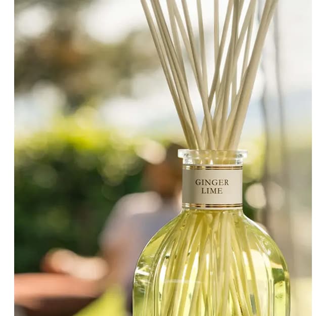 Uy uchun diffuzer Dr. Vranjes Ginger Lime — 3