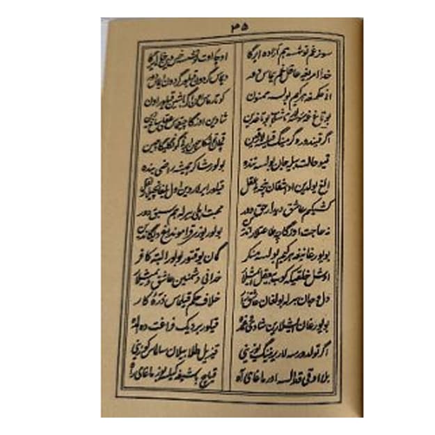 Sabotul ojizin (turkiy) 25/18 sm — 2