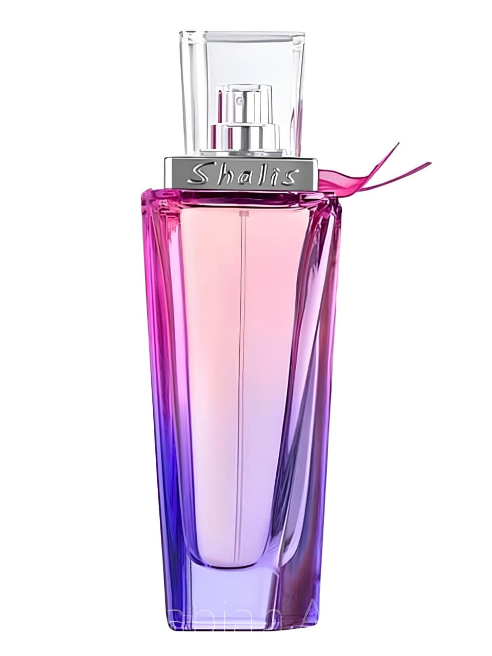 Remy Marquis Shalis Woman EDP, 100 ml — 2