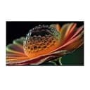 Televizor 7TV4G65QLEDWS1 4K UHD Google TV