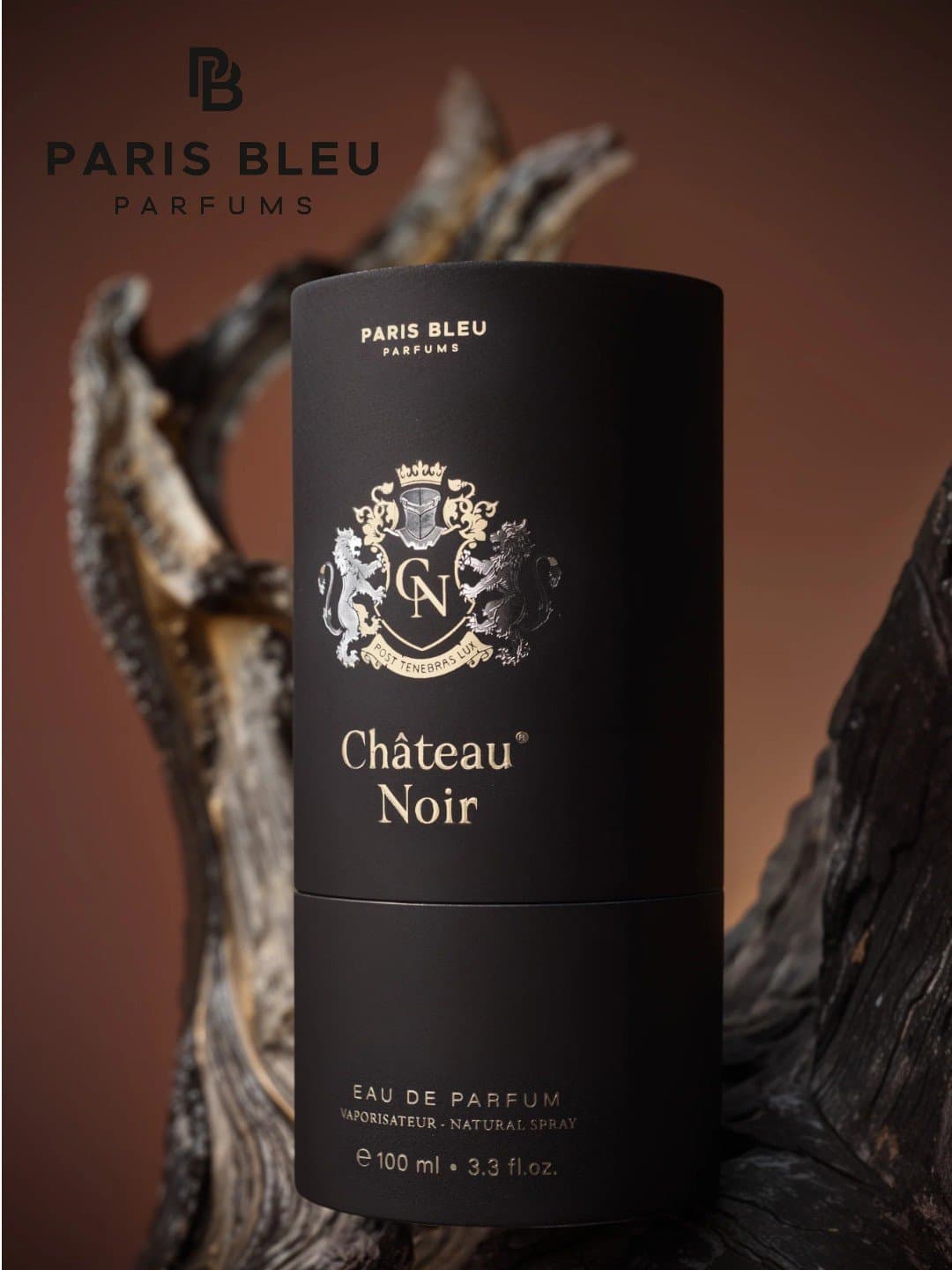 Erkaklar parfyumlangan suvi Paris Bleu Château Noir EDP 100 ml — 4