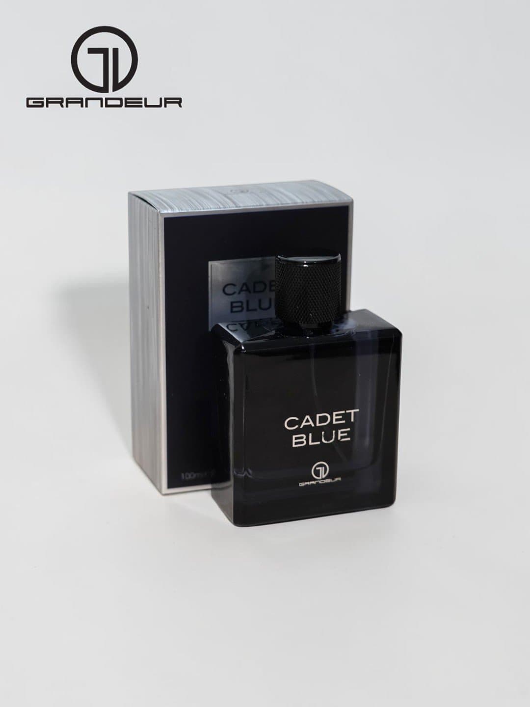 Erkaklar parfyum suvi Grandeur Cadet Blue, 100 ml — 1