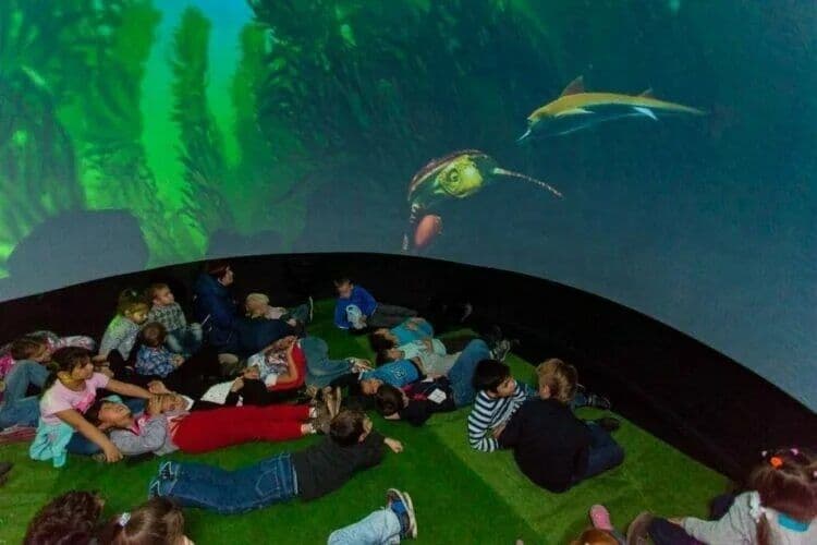 Mobilniy Planetariy, Мобилный планетарий, Havo shari, Planetarium — 6