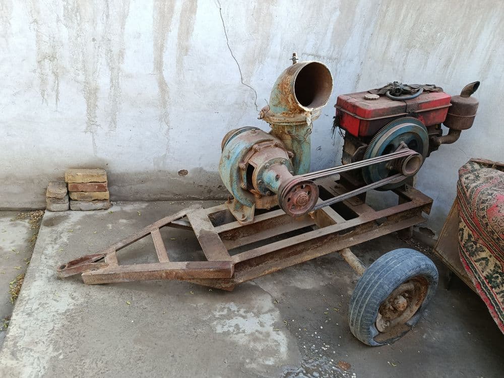 Nosos 250 xolati zor — 2