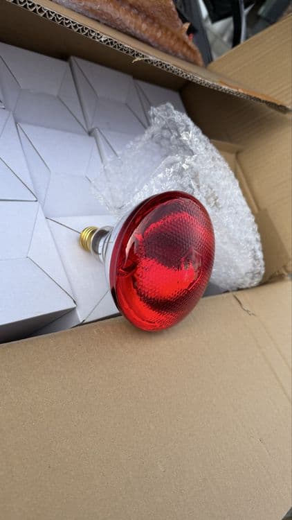 Lampa Infra qizil lampa инфракрасная лампа — 1