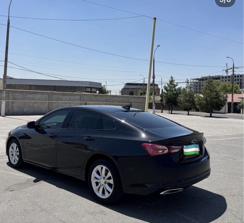 Rent car / рент сар / renta car / рента сар — 4