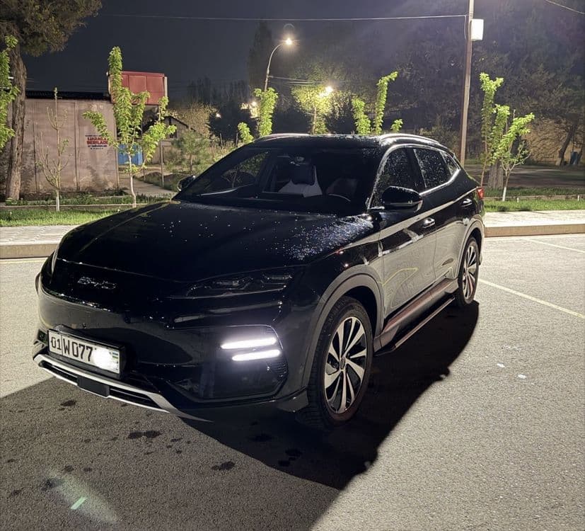 Byd | Champion | прокат | автопрокат | аренда авто | rent car — 1