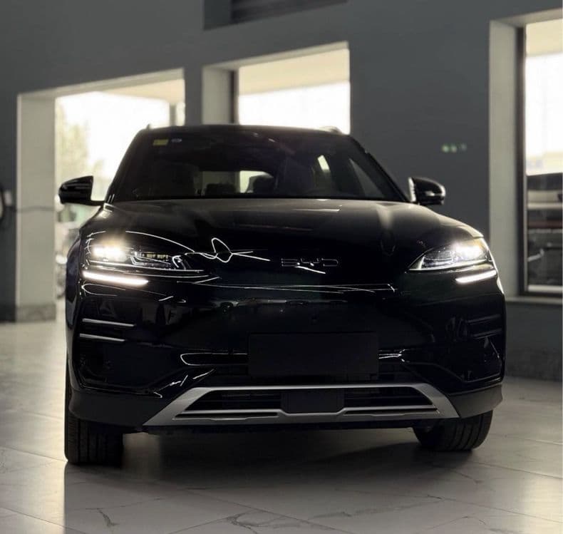 Byd Champion | прокат | автопрокат | аренда авто | rent car — 1