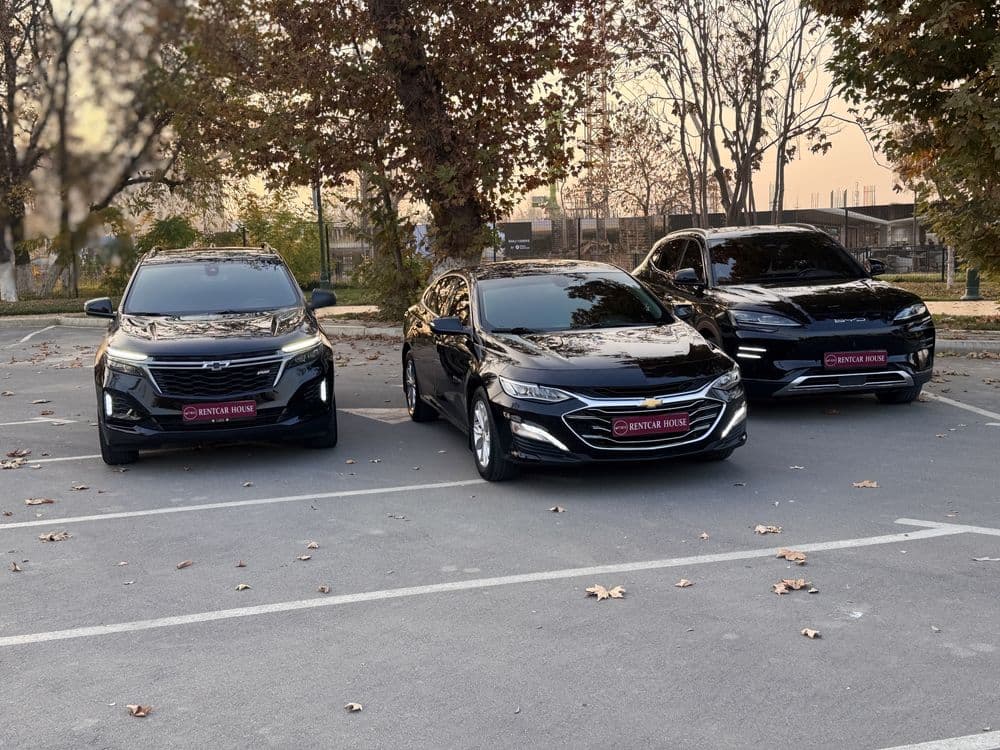 Malibu | Gentra | Byd | прокат | автопрокат | аренда авто | rent car — 1