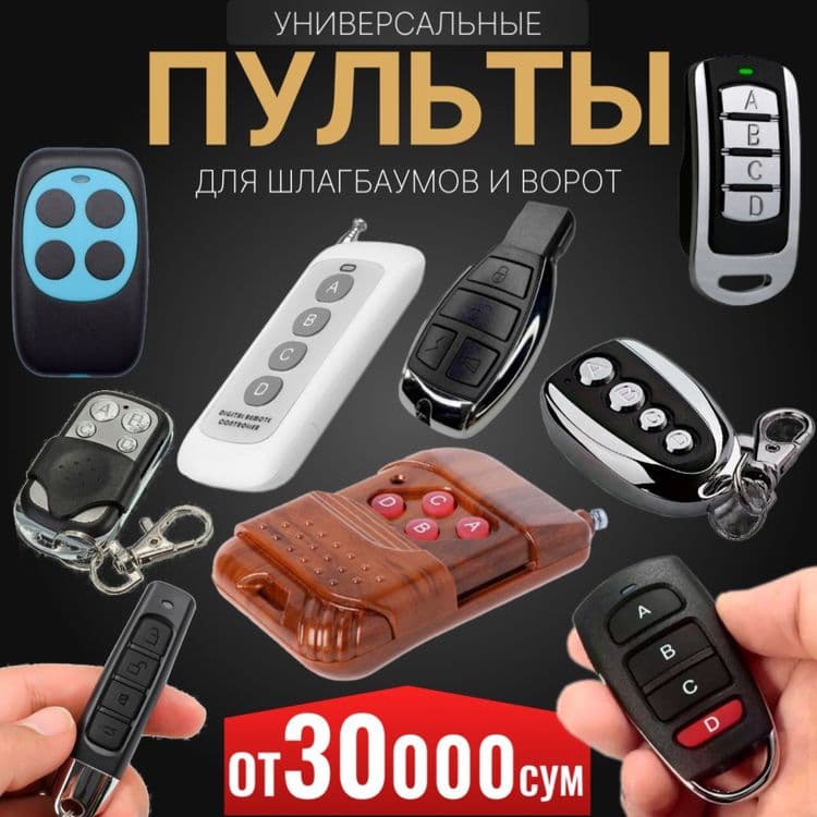 Радиоуправляемые пульты от шлвгбаума 433 и 315 частота — 1