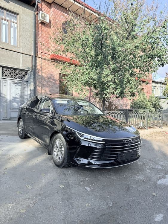 BVD chazor Gibrit Rent car — 2
