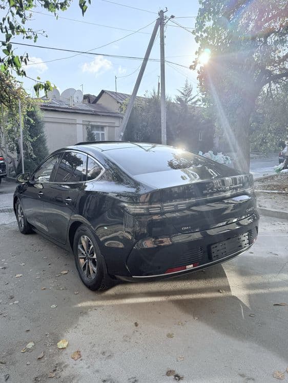 BVD chazor Gibrit Rent car — 4